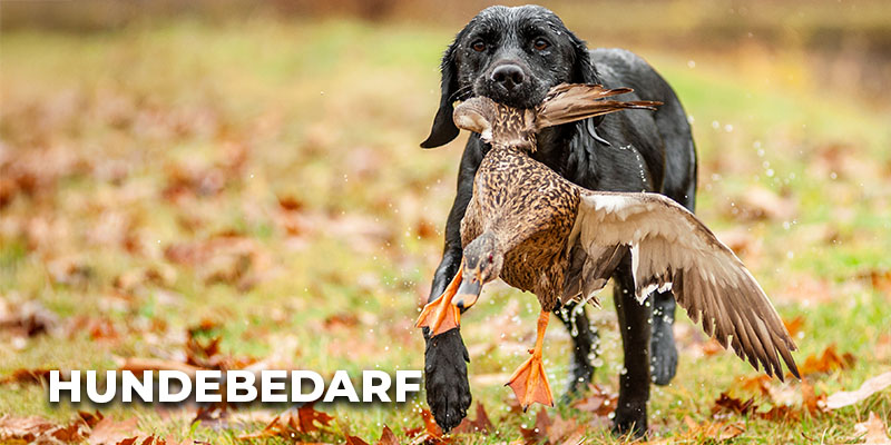 Schwarzer Jagdhund läuft über eine herbstliche Wiese und trägt eine erlegte Ente im Maul; unten links steht der Schriftzug ‚Hundebedarf‘.